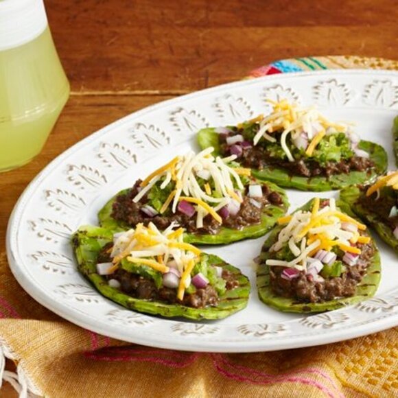 Prickly Pear Cactus 2 ea Spineless Opuntia Decorative Plant and Beauty Regimen. - Picture 11 of 12